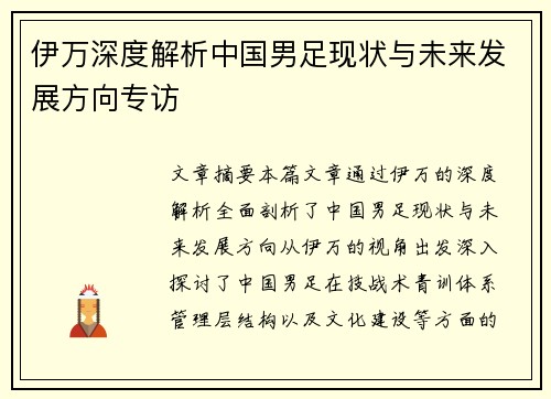 伊万深度解析中国男足现状与未来发展方向专访 伊万深度解析中国男足现状与未来发展方向专访